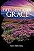 Fifty Shades of Grace by Karen Yvonne Dykes, Adele Y Johnson