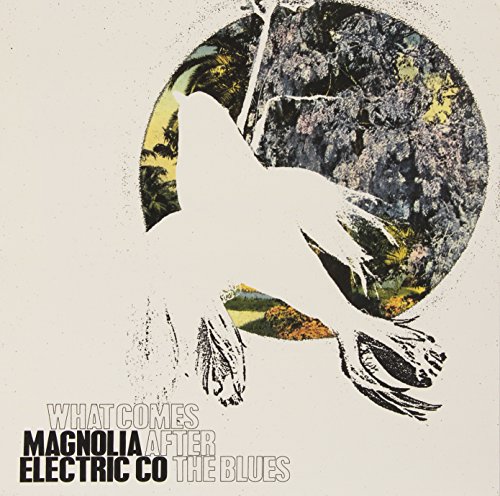 Magnolia Electric Co. - What Comes After The Blues [vinyl] - Zortam Music