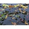 Blagdon-1022378-Clearview-Pond-Cover-Net-Strong-Double-Weave-Black-Fine-With-Pegs-3-m-x-2-m-10-x-6-6-Protects-Pond Blagdon 1022378 Clearview Pond Cover Net, Strong Double Weave, Black, Fine, With Pegs, 3 m x 2 m (10’ x 6’ 6”), Protects…