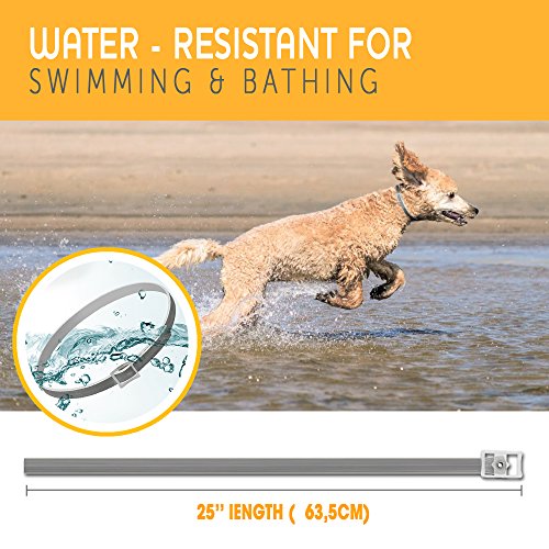 ONMOG Dogs Flea and Tick Prevention - Best Pests Control Collar for Dogs - Easy Adjustable and Water Resistance Collar - Ultra Safe for Pets and Pet's Owners with Natural Essential Oils - Thumbnail 5