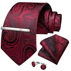 DiBanGu Silk Paisley Ties for Men Woven Necktie and
