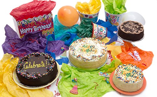 Davids-Cookies-Chocolate-Fudge-Birthday-Cake-7-Inch