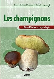 Les  champignons