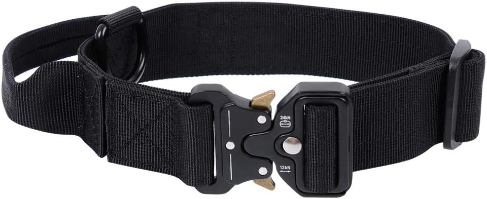 large dog collar with handle