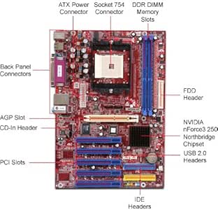 Amazon.com: Biostar NF325-A7 - Motherboard - ATX - Socket