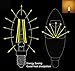 SooFoo E12 Candelabra Base 6W Dimmable COB LED Filament Candle Light Bulb,2700K Warm White 600LM,60W Incandescent Replacement,4 Pack