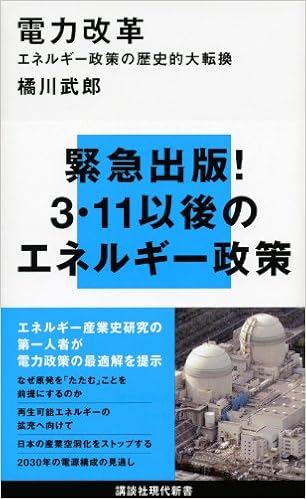 電力改革 エネルギー政策の歴史的大転換 講談社現代新書 橘川 武郎 本 通販 Amazon