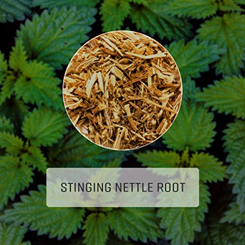 Stinging Nettle Root Capsules Organic Urtica Dioica Extract Dietary