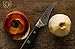 Dalstrong Tourne Peeling Paring Knife - 3 inch Bird's Beak - Shogun Series ELITE - Damascus - Japanese Super Steel - Vacuum Treated - Sheath Included