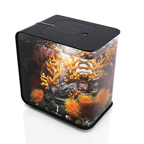 biOrb Flow 15 Aquarium with LED – 4 Gallon, Black