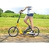 BRIZON New Model - Wingflyer16- Excercise Stepper Scooter (16inch Air Tire) (Black)