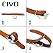 CIVO Genuine Grain Leather NATO Zulu Military Swiss G10 Watch Band Strap 18mm 20mm 22mm with Stainless Steel Buckle (Dark Brown, 22mm)