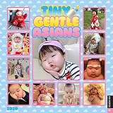 Tiny Gentle Asians 2020 Wall Calendar by 