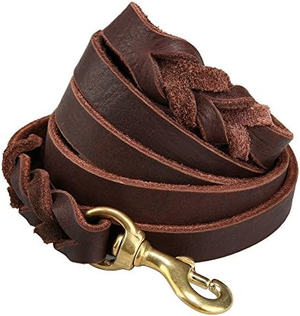 Saiger Braided Genuine Leather Dog Leash Dog Training Leash Lead Strong, Durable Dog Slip Lead with Dog Training Whistle (1/2"5')