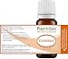 Turmeric Essential Oil 10 ml 100% Pure Undiluted Therapeutic Grade.
