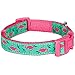 Blueberry Pet Essentials Pink Flamingo Dog Collar, Large, Neck 18-26