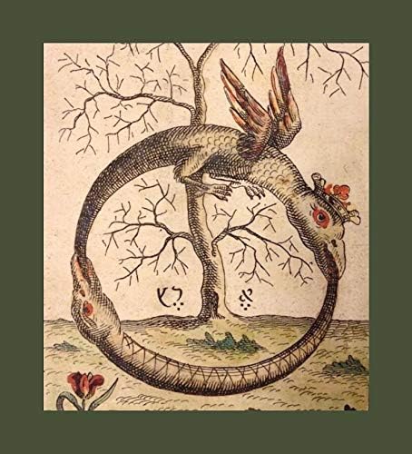 Amazon Com Ouroboros Art Print Posters Prints