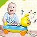 Bluelans Early Education 1 Year Olds Baby Xylophone Toy Musical Instrument Pull Along Educational Toy for Children & Kids Boys and Girls Christmas/Birthday Gift Colorful