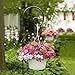 BEAU JARDIN Shepherd Hook 48 Inch 2 Pack No Assembly Required 2/5 Inch Heavy Duty Solid Metal Hanging Pole for Outdoor Garden Plant,Bird Feeder,Lanterns,Wedding Decor,Plant Baskets Wind Chimes