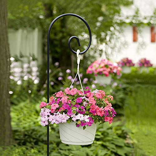 5 Pack Garden Shepherd Hook 48 In Bird Feeder Pole Hanging Plants