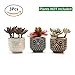 T4U Ceramic Succulent Planter Pot, Small Cactus Plant Pot Round Container Window Box Home Office Decoration Desktop Windowsill Bonsai Pots Gift Ornament for Gardener Wedding Christmas (No.01)
