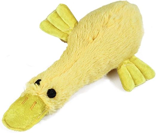 pets at home duck toy