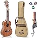 Concert Ukulele Deluxe Series by Hola! Music (Model HM-124KA+), Bundle Includes: 24 Inch Koa Ukulele with Aquila Nylgut Strings Installed, Padded Gig Bag, Strap and Picks - Limited Edition