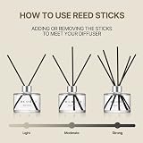 COCODOR Signature Cedar Wood Reed Diffuser 6.7oz 1 Pack Home Fragrance view 4