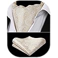 HISDERN Ascot Ties for Men Paisley Cravat Tie and Pocket Square Set Floral Mens Ascot Scarf Handkerchief Wedding Party
