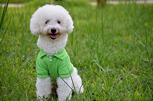 VKOPA Fashion Pet Dog Clothes Cat Puppy Pet Puppy Spring Summer Shirt Dog Polo Vest T Shirt Tops