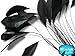Moonlight Feather | 1 Dozen - Black Stripped Rooster Coque Tail Feathers Craft Costume Supply