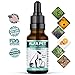 Kennel Cough Medicine for Dogs, Organic Dog Cough Medicine for Colds and Allergies - Natural Kennel Cough Treatment with Mullein Leaf and Elderberry