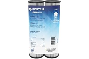 Pentair OMNIFilter RS1 Sediment Water Filter, 10-Inch, Standard Whole House Pleated Cellulose Sediment Replacement Filter Cartridge, 10" x 2.5", 20 Micron, Pack of 2