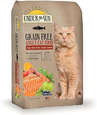 Under the Sun Grain Free Dry Cat Food, 2.5-Pound, Salmon