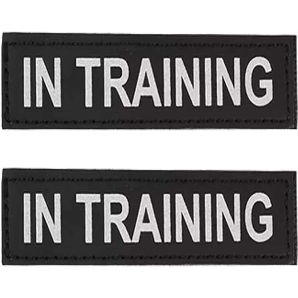 ASOCEA 2 Pcs Dog Harness Patch Removable Leather Tags Pet Hook and Loop Patches Service Dog in Training Puppy Vest Harness Attachment for Small Medium Large Dogs