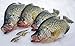 Eagle Claw 575 Gold Jig Hooks - 200 Pack