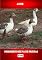 Livro Aves