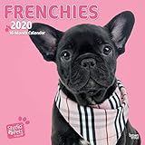 Frenchies 2020 Square Wall Calendar (Studio Pets) by 