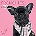 Frenchies 2020 Square Wall Calendar (Studio Pets) by 