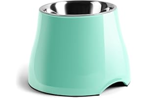 yoken Elevated Dog Bowls, [Prevention of Vertebrae Disease] [Super Non-Slip] Stainless Steel Bowl with High Capacity,Colorful Raised Dog Bowls for Medium/Small Size Dogs, M (540ML /2 Cups), Mint Green