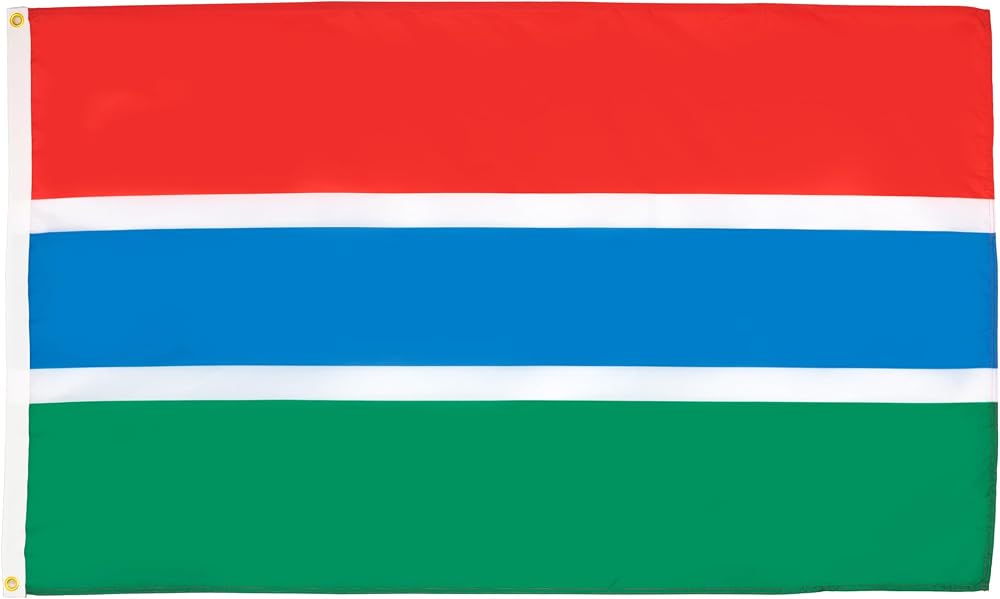 AZ FLAG Gambia Flag 3x5 ft 150x90 cm fade resistant 100D polyester
