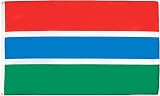 AZ FLAG Gambia Flag 3x5 ft 150x90 cm fade resistant 100D polyester