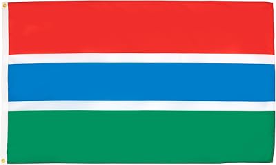AZ FLAG Gambia Flag 3x5 ft 150x90 cm fade resistant 100D polyester
