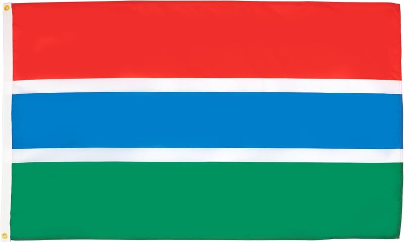 AZ FLAG Gambia Flag 3x5 ft 150x90 cm fade resistant 100D polyester
