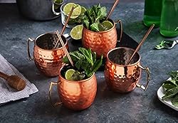 Sol Living Mint Julep Cups and Moscow Mule Bundle