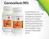 1 Bottle DXN Ganocelium GL 90 GL-90 ( Mycellium ) : 90 capsules per bottle