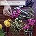 Royal Imports Floral Water Tubes with Caps – 3