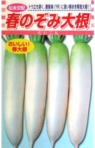 Amazon 大根 種 春のぞみ大根 小袋 約3ml 野菜
