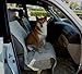 Deluxe Quilted and Padded Dog Pet Car Single Seat Cover with Comforting Fabric and Non-Slip Back Best for Car Truck and SUV - Travel with Your Pet Mess Free - Universal Fit 21