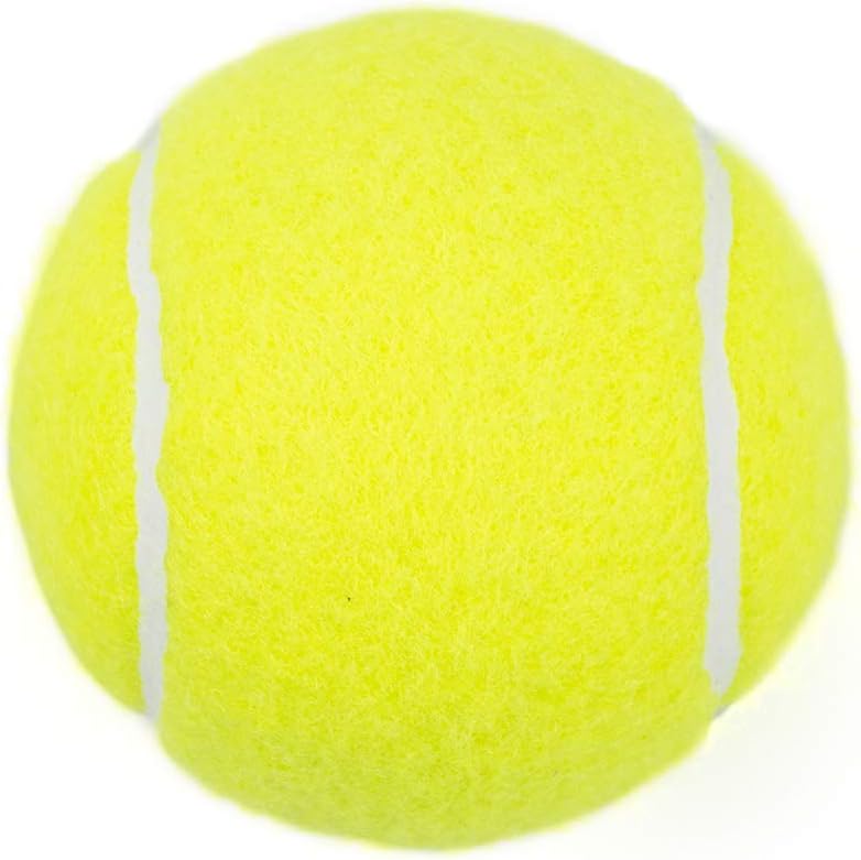 Tebery 20 Pack Green Advanced Training Tennis Balls Practice Ball with Mesh Carry Bag : Sports & Outdoors